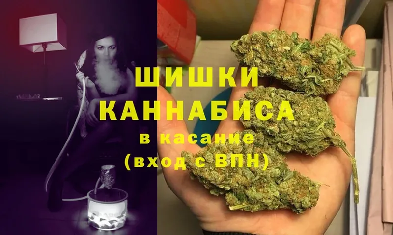 Конопля Ganja  Махачкала 